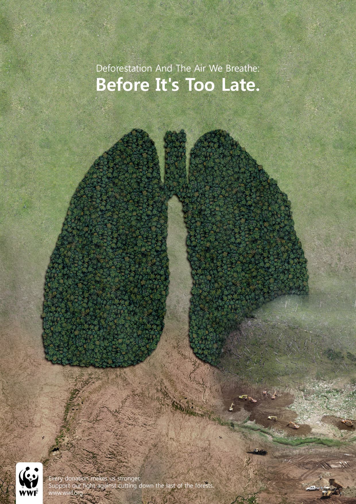 Before It's Too Late (Lungs)